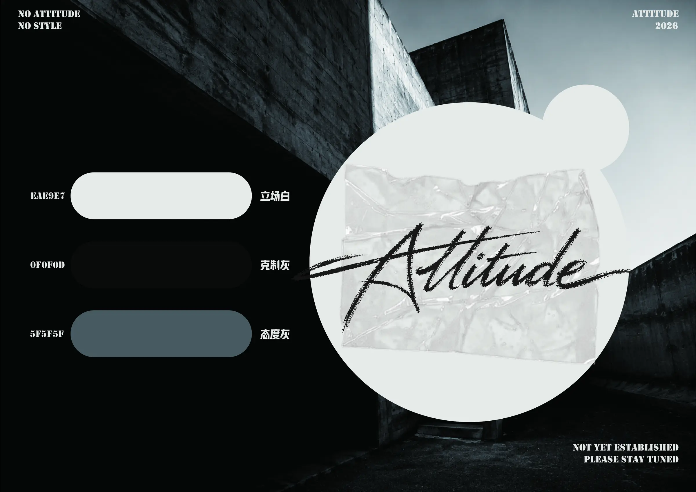 ATTITUDE 服装品牌视觉第 03 页