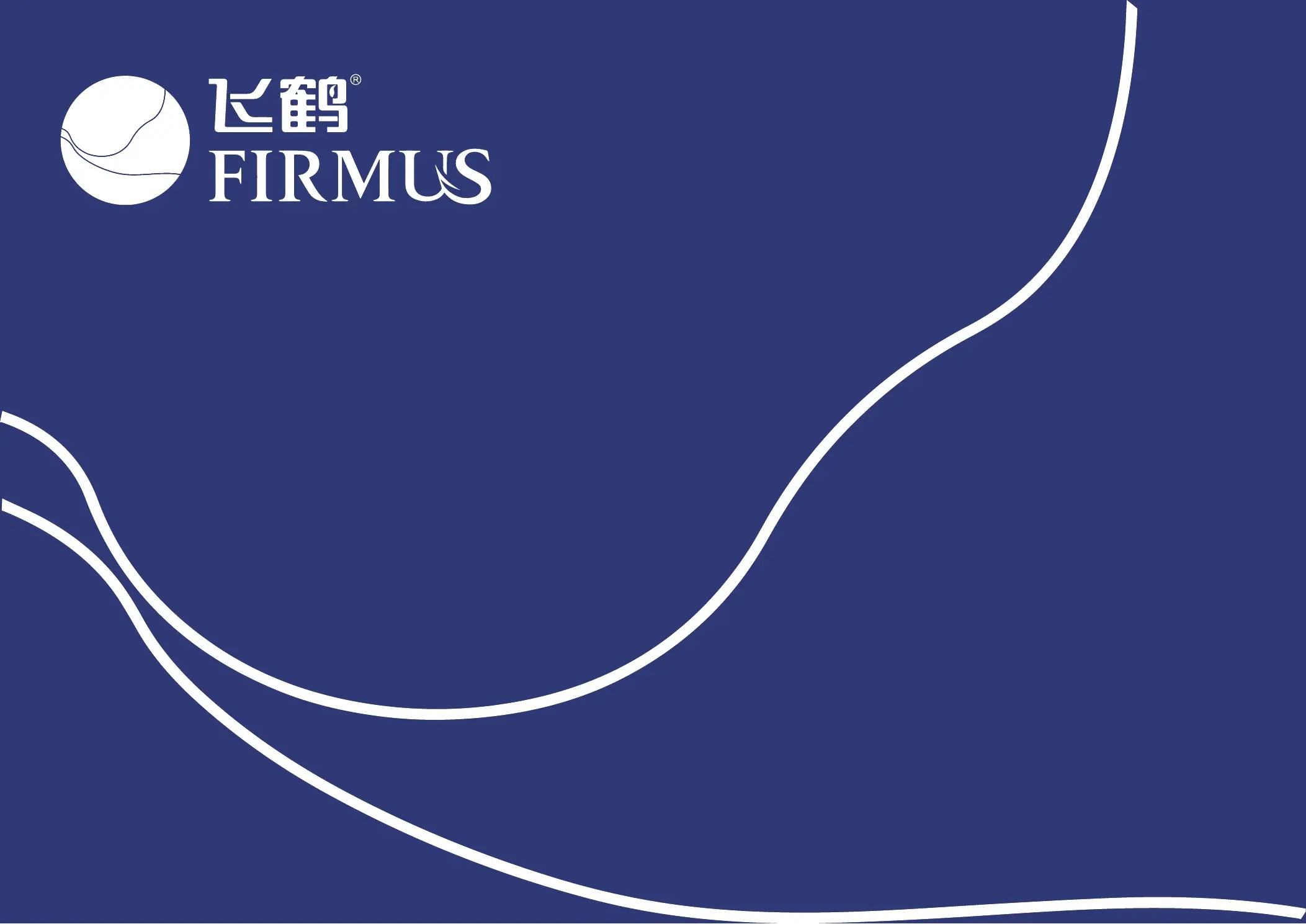 飞鹤 FIRMUS VI 手册第 02 页