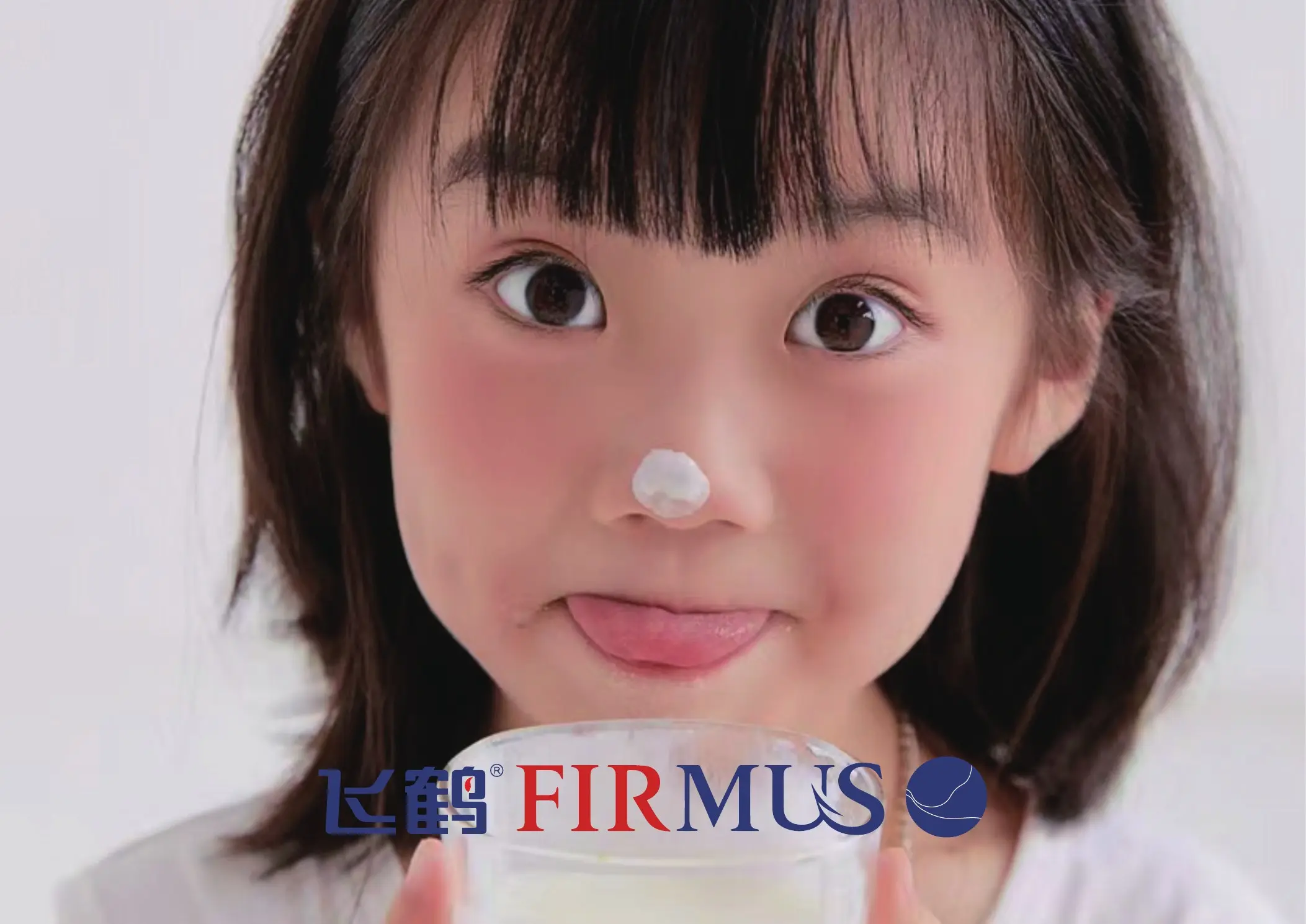 飞鹤 FIRMUS VI 手册第 29 页